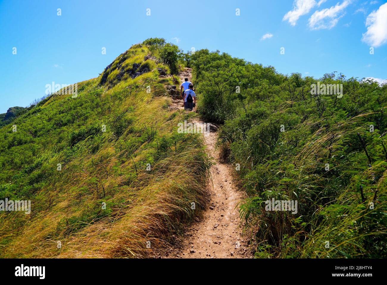 Dirt path on the Lanikai Pillbox hike in Kailua, on the eastern side of