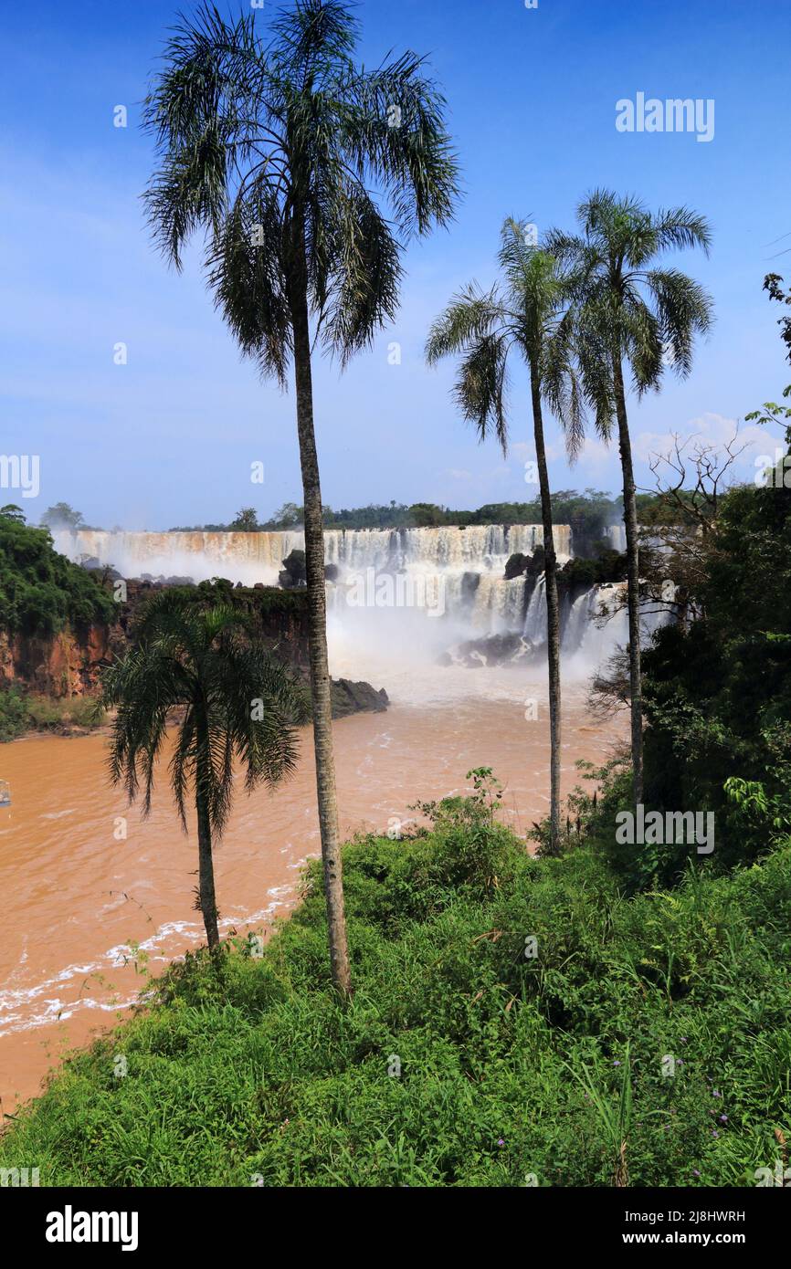 Iguazu Falls landscape - natural wonder in Argentina. Stock Photo