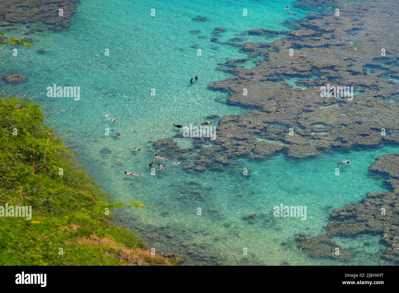 Coral reef in the Hanauma Bay Nature Preserve on O'ahu island in Hawaii