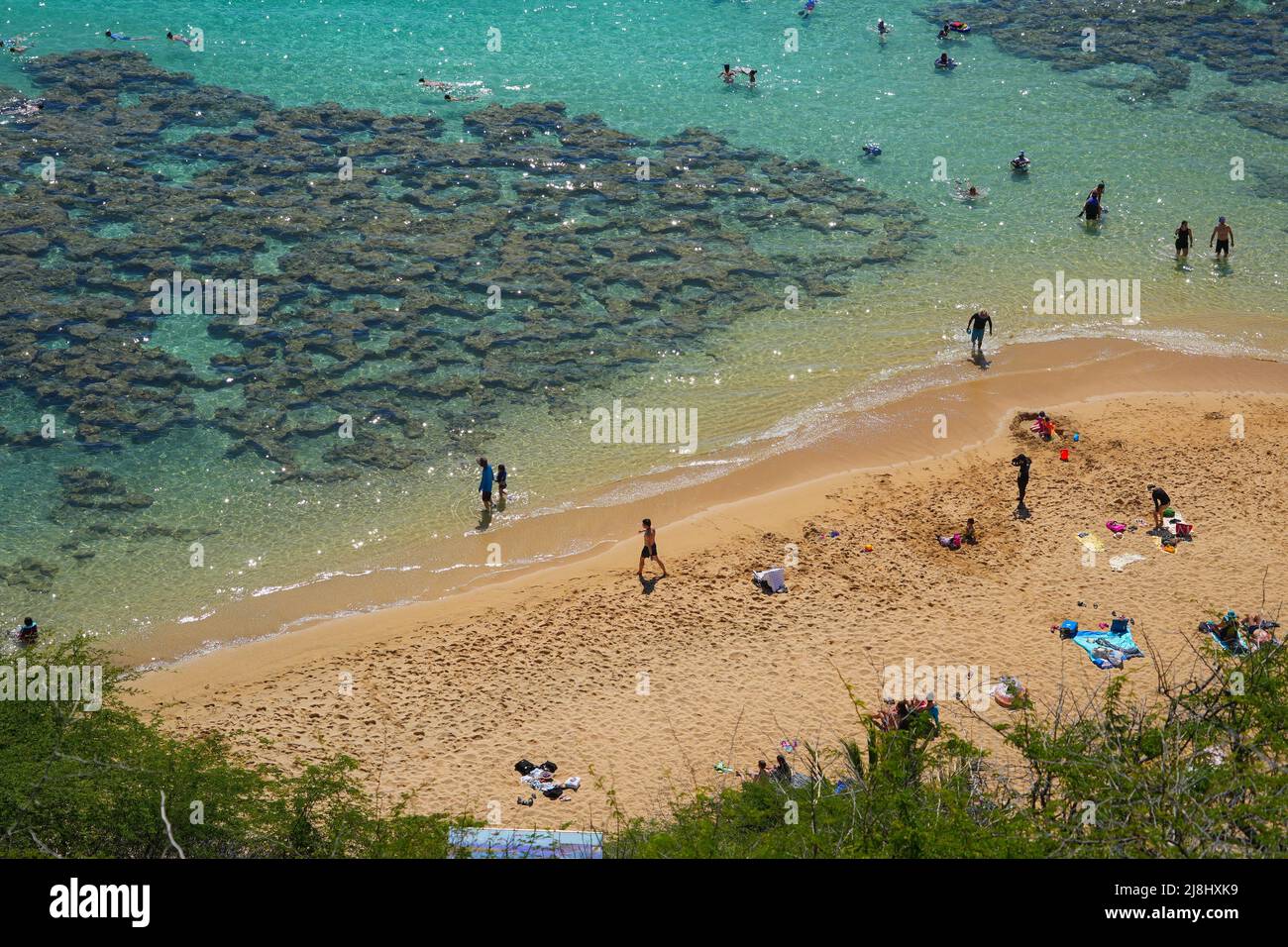 Aerial view of the beach of Hanauma Bay Nature Preserve on O'ahu island ...