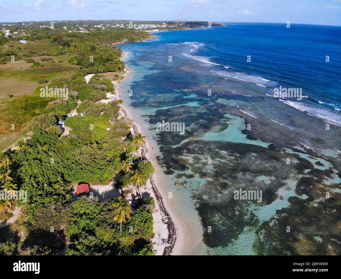 Guadeloupe coral reef drone aerial view. Bois Jolan Beach. Beautiful