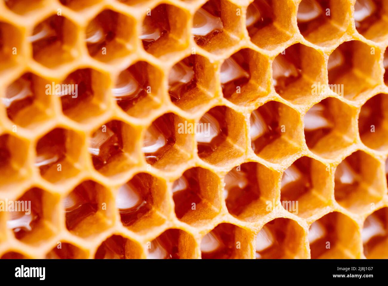 Hive Texture Background texture and pattern of a section of wax honeycomb from a bee ...