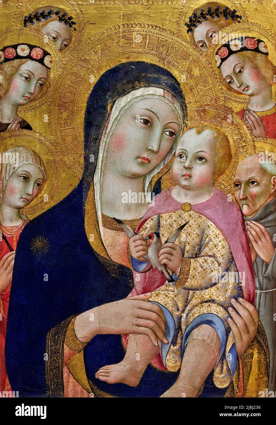 Madonna col Bambino con S. Apollonia, S. Bernardino e quattro angeli