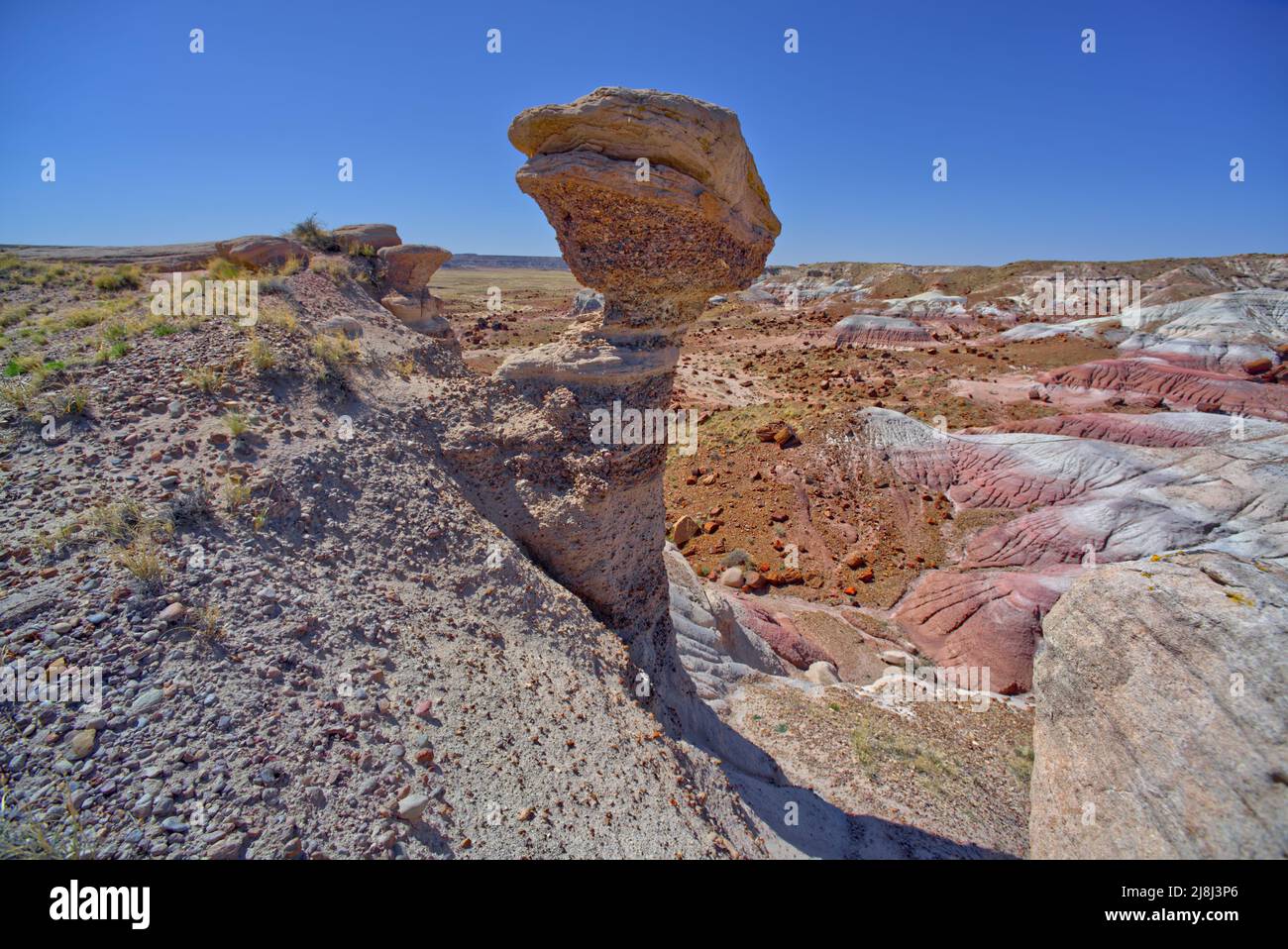 A hoodoo overlooking Jasper Forest in Petrified Forest National Park Arizona that resembles a Dinosaur Head. Stock Photo