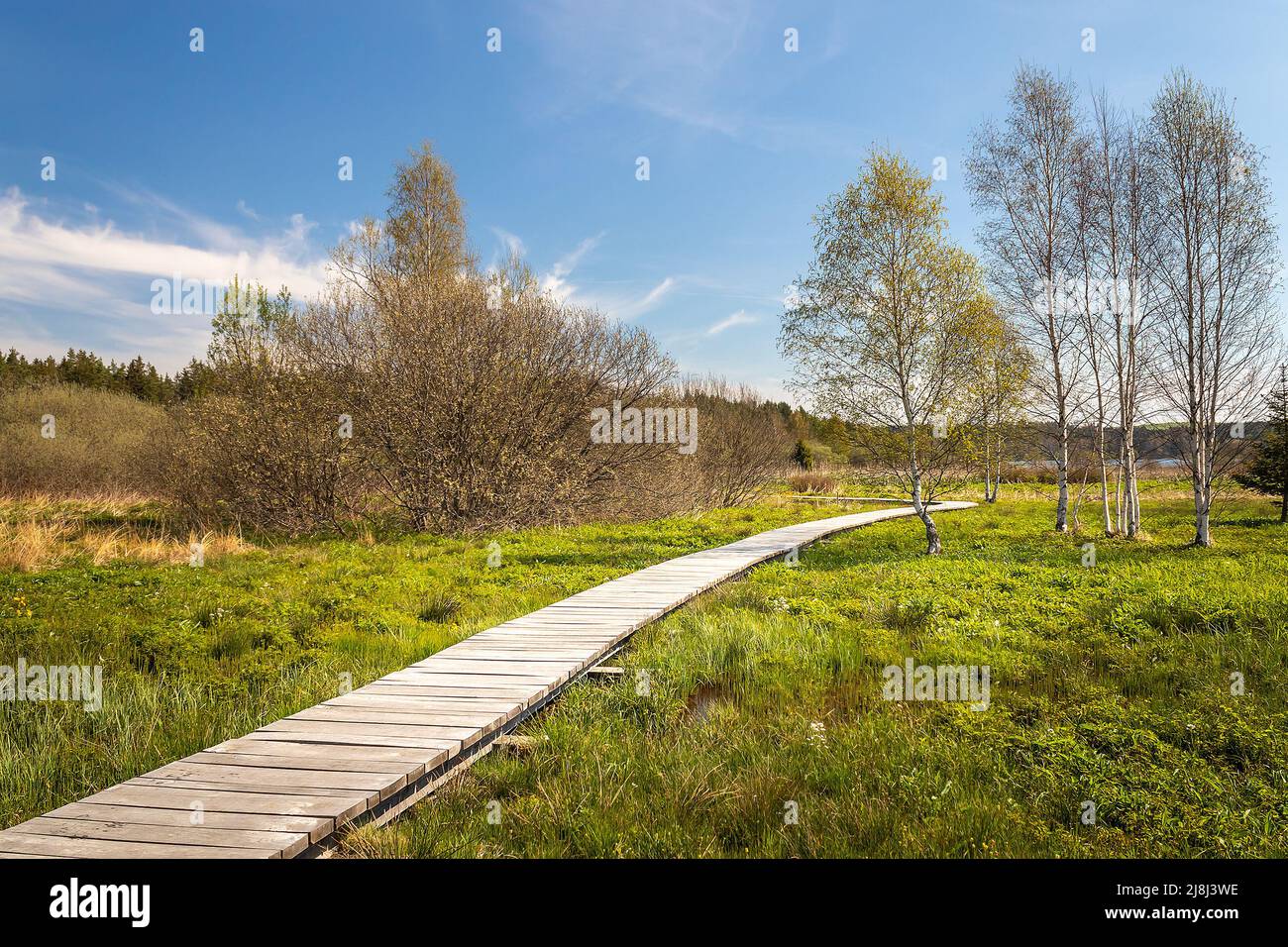 Landscape with a boardwalk - a wooden walkway in the wetlands around the Olsina pond, Czech Republic Stock Photo
