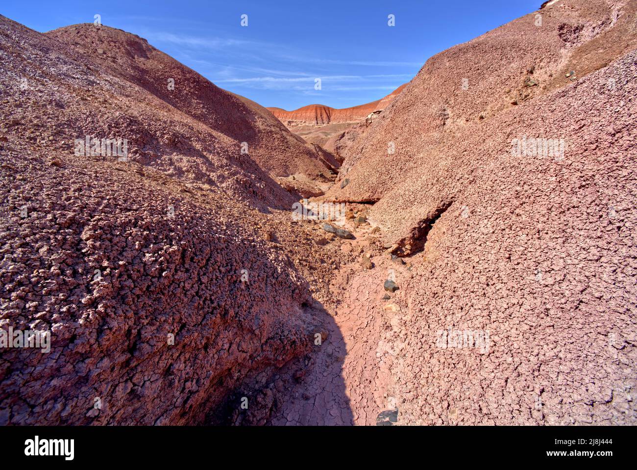 A V-shaped canyon in the Red Forest at Petrified Forest National Park Arizona. Stock Photo