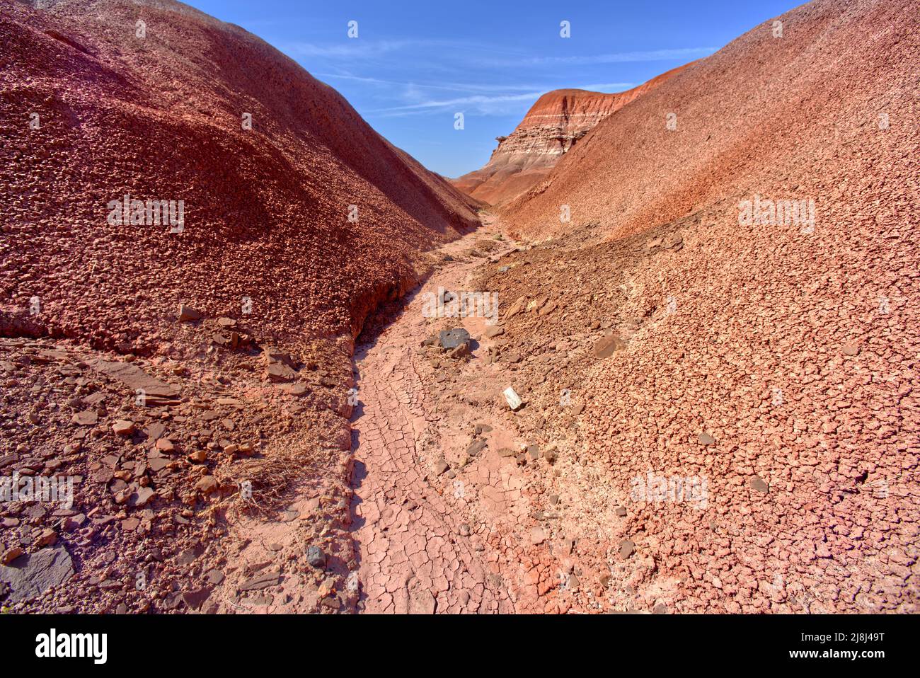 A V-shaped canyon in the Red Forest at Petrified Forest National Park Arizona. Stock Photo