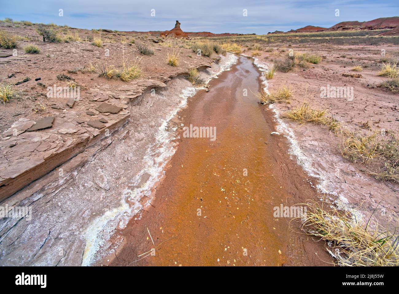 A flowing Spring of salty brine water in Petrified Forest National Park Arizona. Located below Pintado Point. Stock Photo