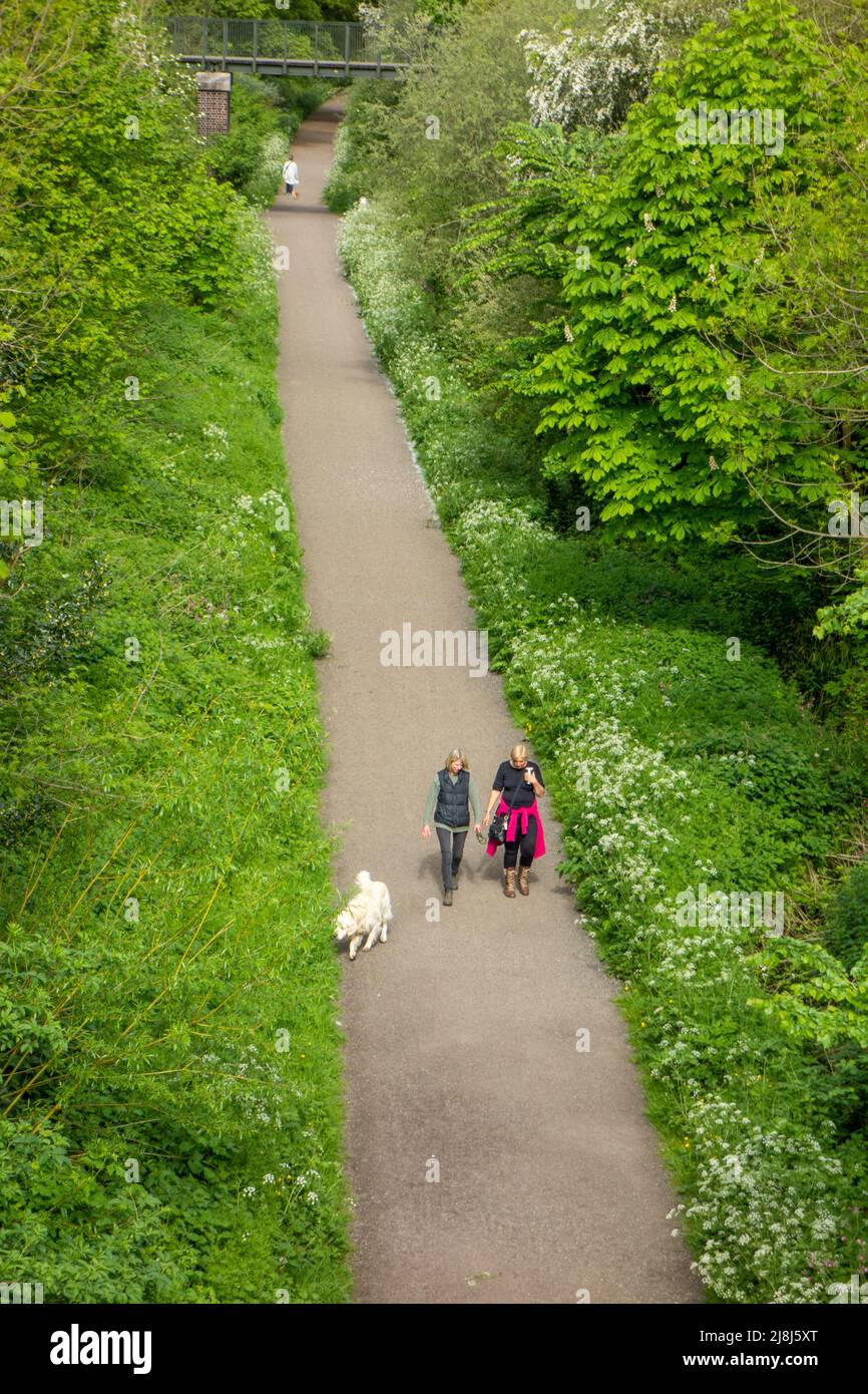 People dog walking  on the former Sandbach to Stoke railway line lost in the Beeching cuts but now used  as the rail trail or the Salt Line way Stock Photo
