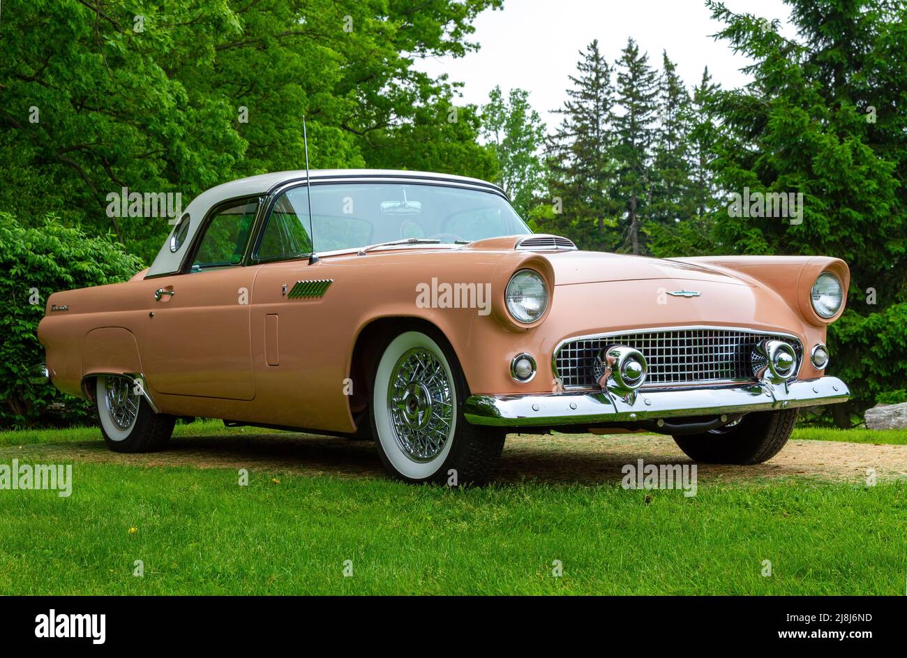 A isolated classic Ford Thunderbird coupe on display at a Cruise-In event in London, Ontario, Canada. Stock Photo