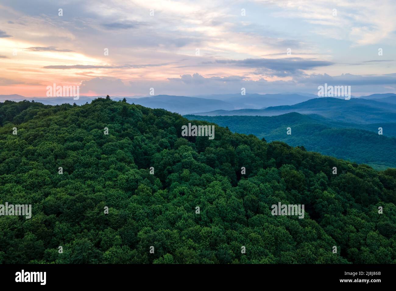 Aerial view of green pine forest with dark spruce trees covering mountain hills. Nothern
