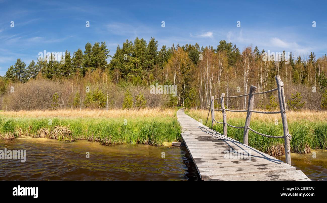 wooden pier at Olsina pond, meadow and forest in the background, Czech Republic Stock Photo