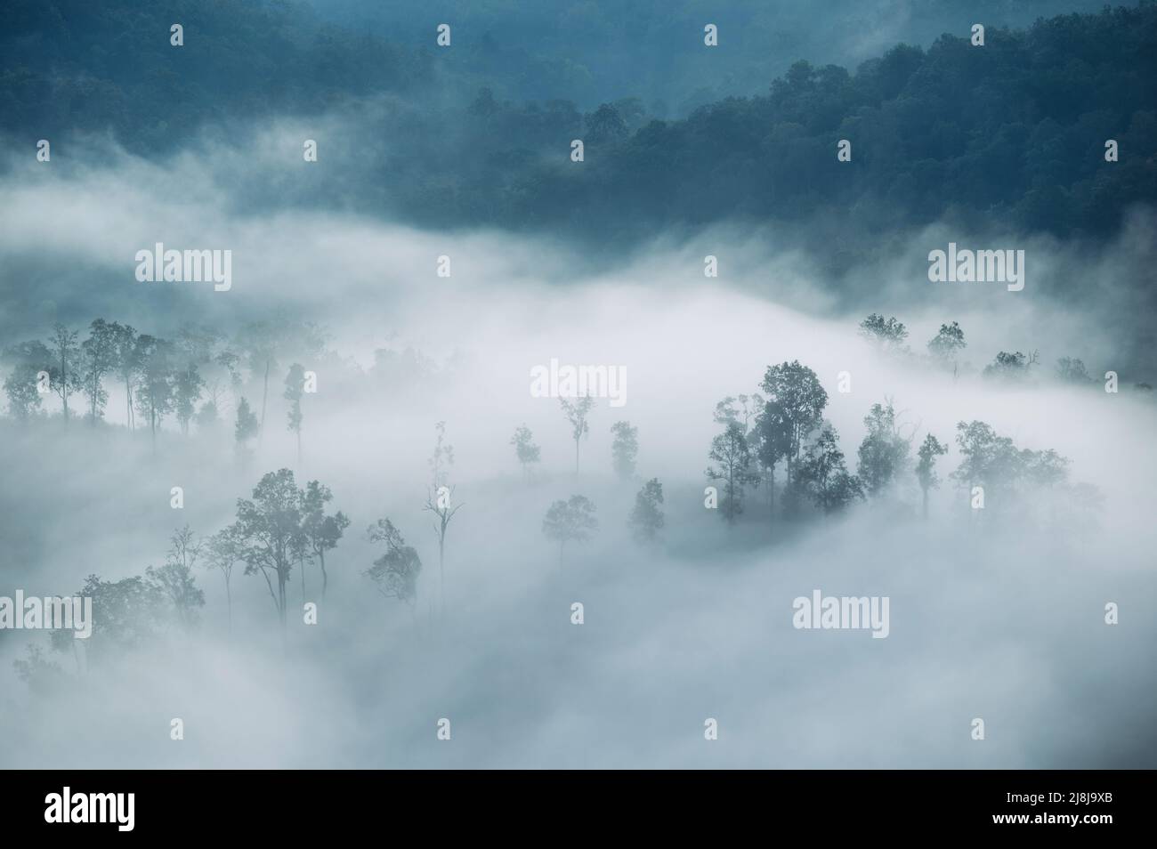 Beautiful scenery of foggy flowing on mountain valley in tropical ...