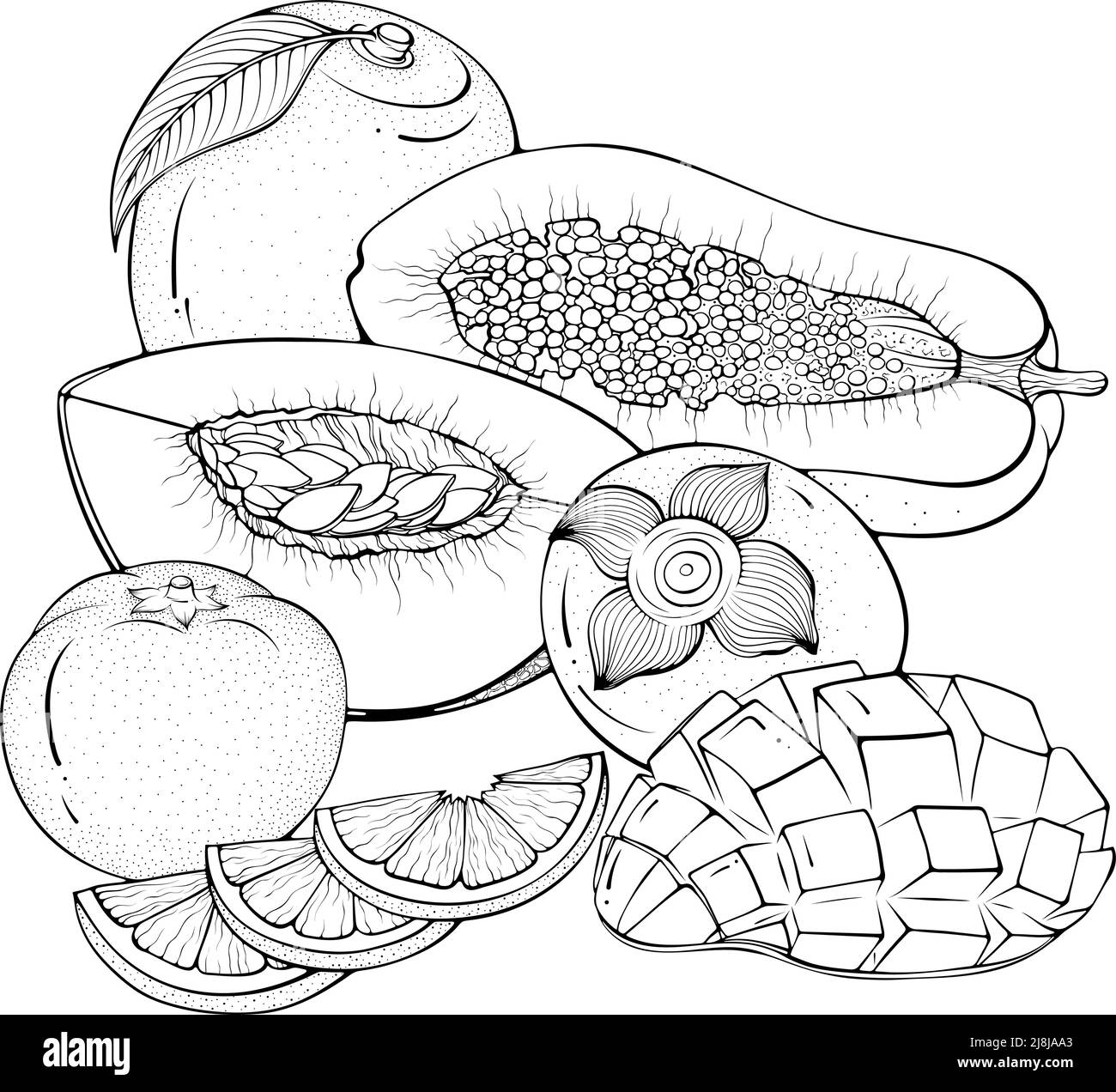 Still life with various fruits line art Stock Vector Image & Art Alamy