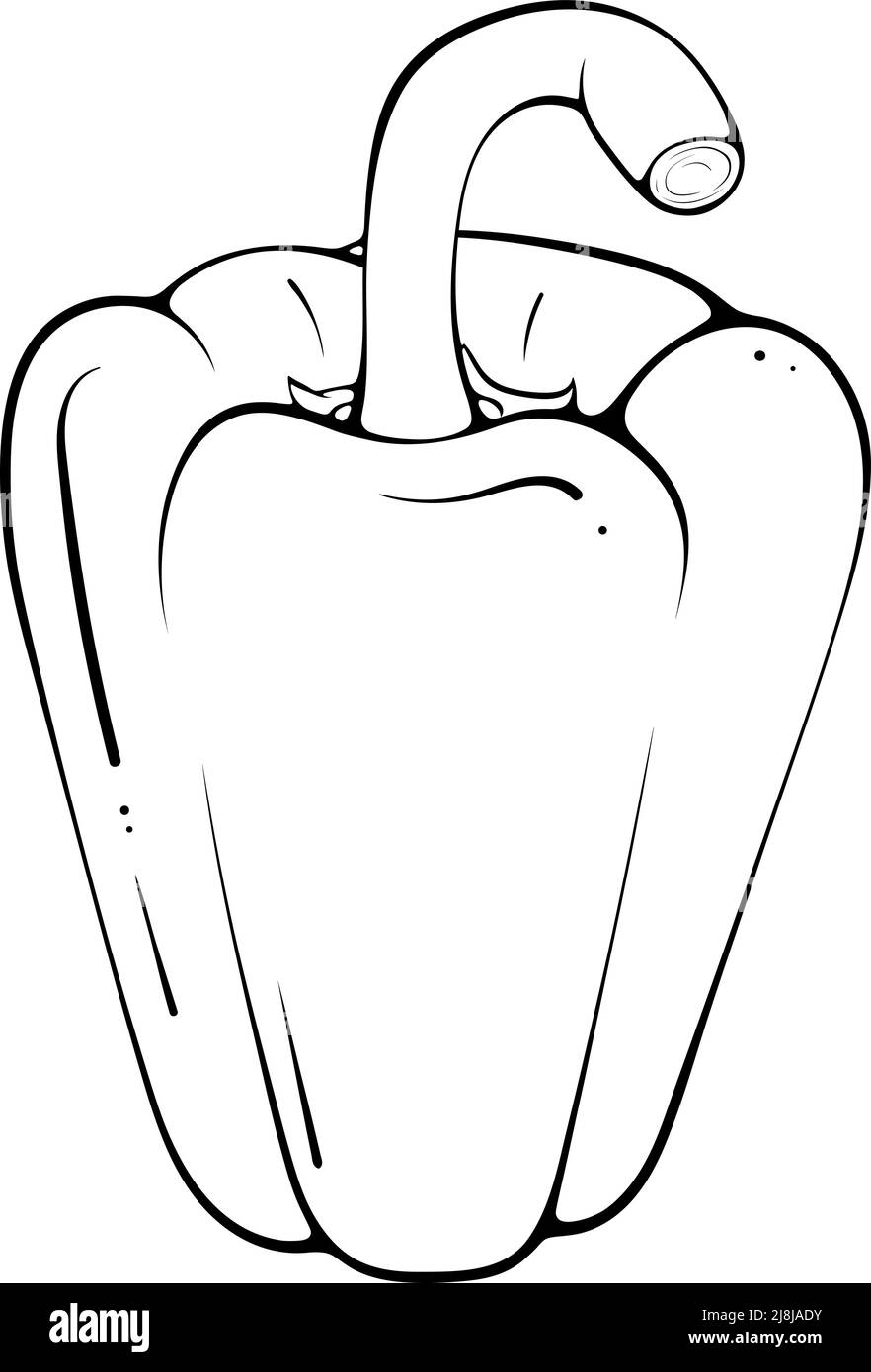 Whole paprika pepper line art Stock Vector Image & Art Alamy