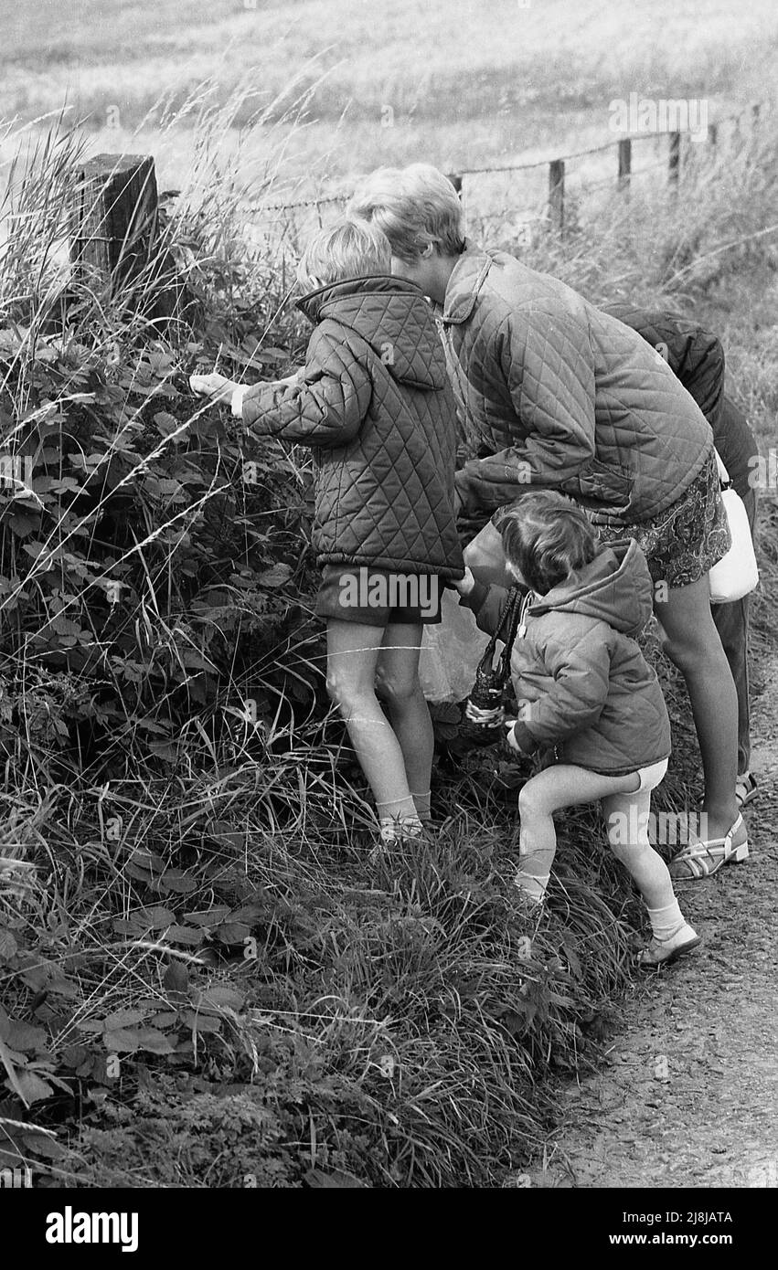 1970s, historical, a mother with her young children at a hedgerow countryside blackberry picking, all wearing the light quilted anoraks that were a popular clothing item in this era, England, UK. Stock Photo