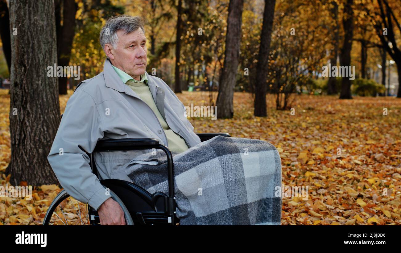 Pensive caucasian male mature man grandfather ride by wheelchair in autumn park sad serious senior older age person retired pensioner with disable Stock Photo