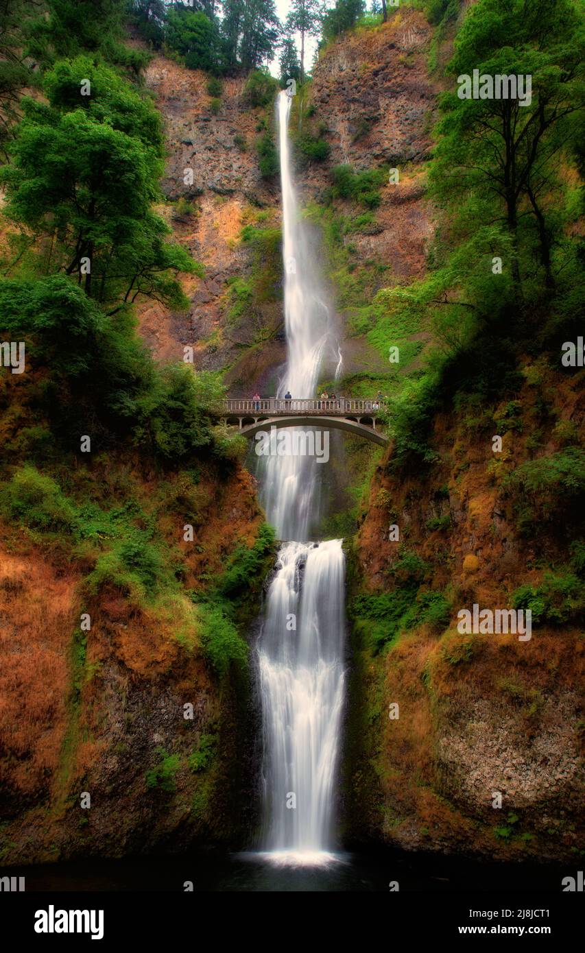 Multnomah Falls, located in the Columbia River Gorge is at 620 feet or 189 meters the tallest is a waterfall in the State of Oregon, USA. Stock Photo