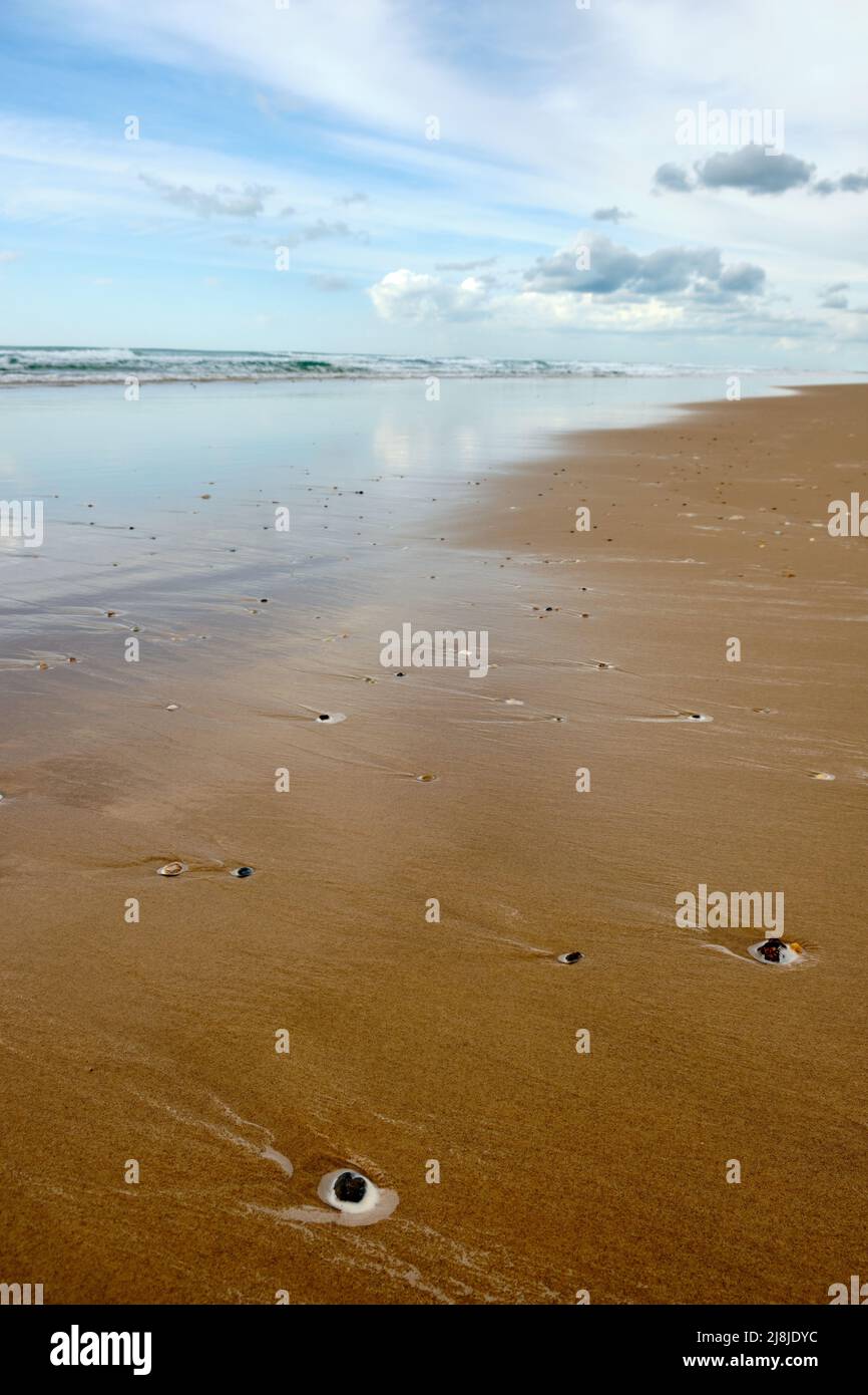 Landscape of a very long sandy beach with a blue sky full of clouds. Portrait photography. Stock Photo