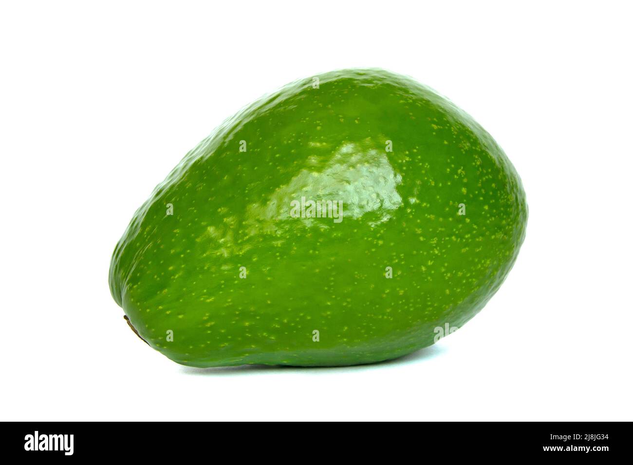 Single Whole Fresh Avocado isolated on white background Stock Photo - Alamy