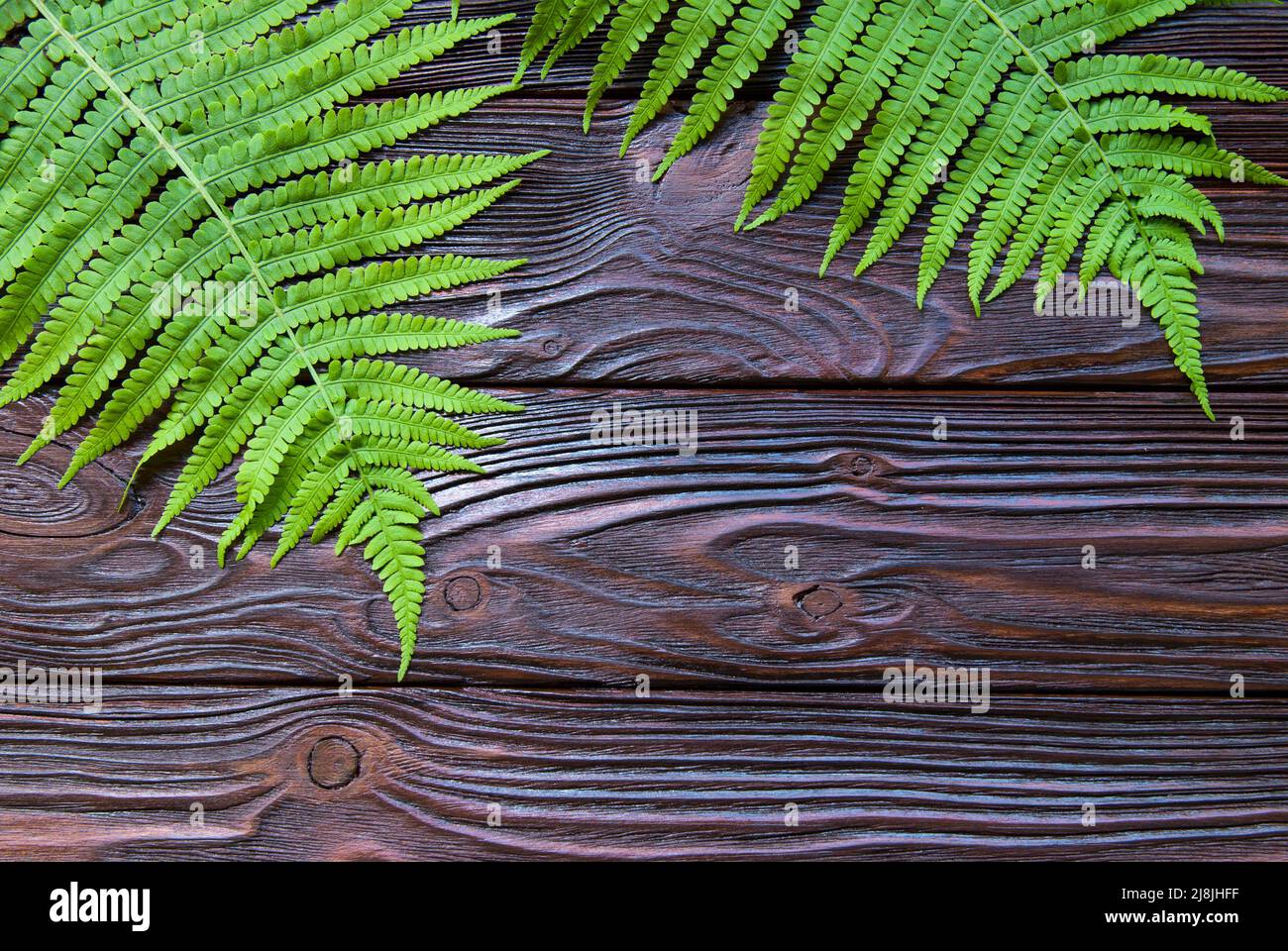 Fern texture hi-res stock photography and images - Alamy