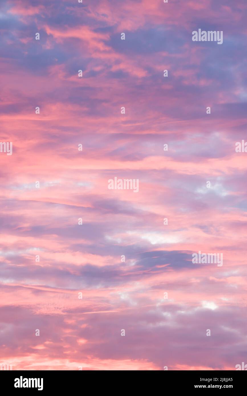 Dramatic moody sky at sunset with red, pink and blue storm clouds. Skyscape pattern, texture or background, UK Stock Photo