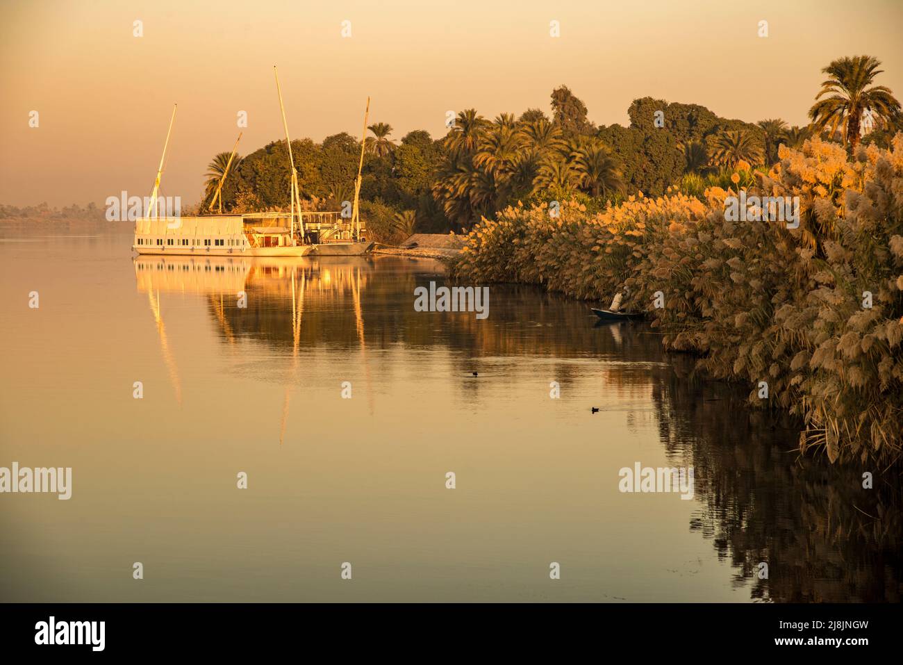 sunrise on the Nile River with papyurs plants and Nile Dahabiya Boat docked next to the shore Stock Photo