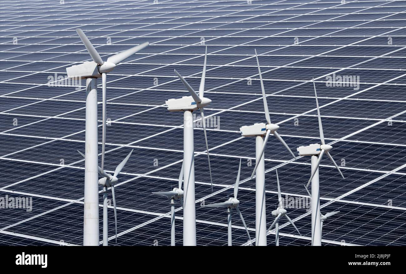 Solar panels and onshore wind turbines. Clean, cheap renewable energy