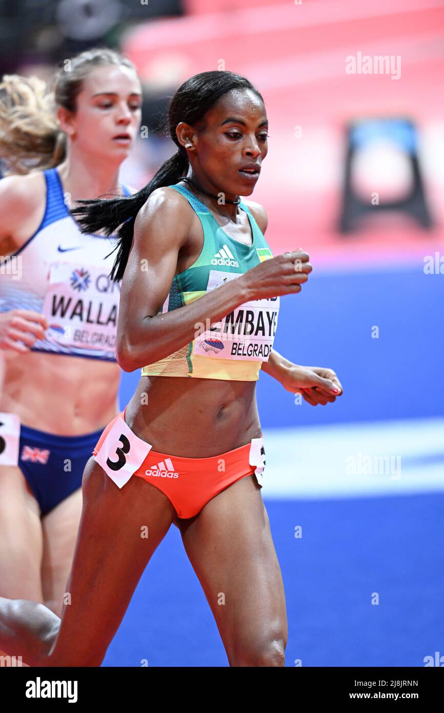 Axumawit Embaye participating in the Belgrade 2022 World Indoor Championships in the 1500 meters. Stock Photo