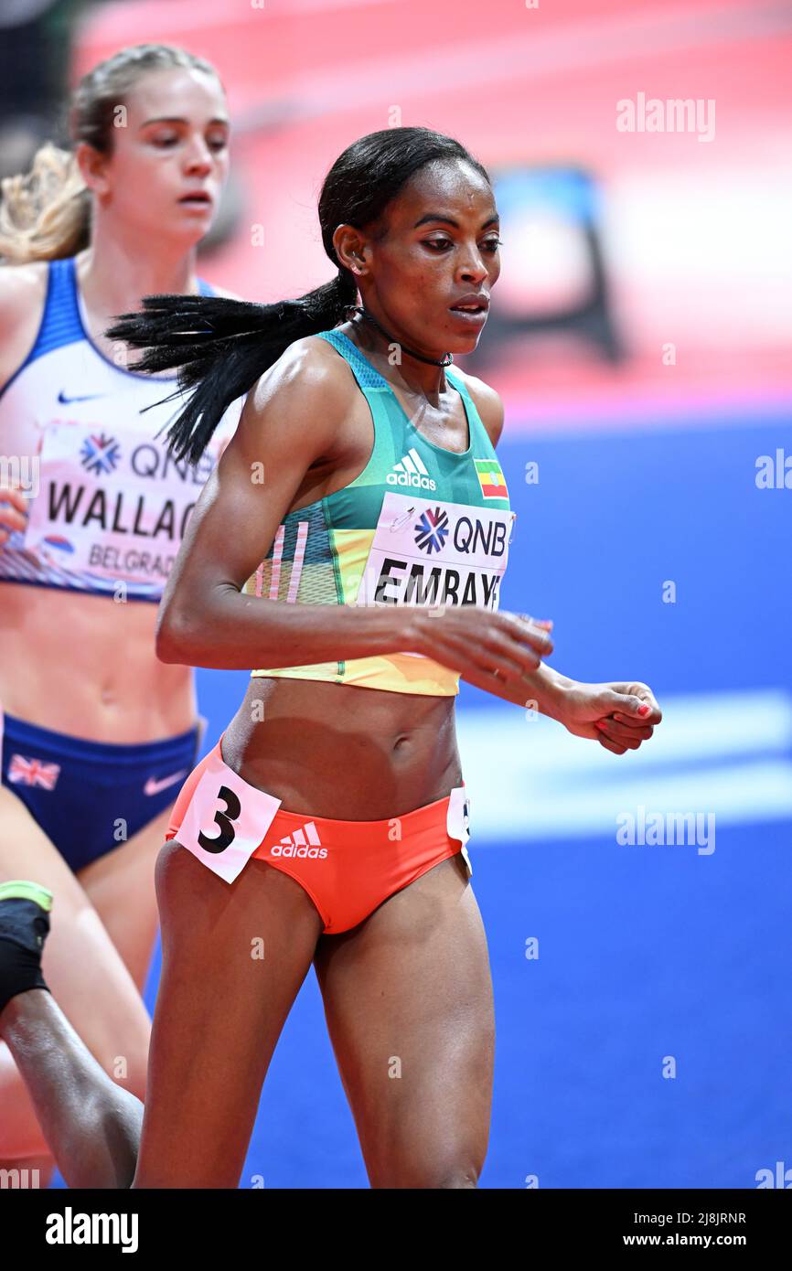 Axumawit Embaye participating in the Belgrade 2022 World Indoor Championships in the 1500 meters. Stock Photo