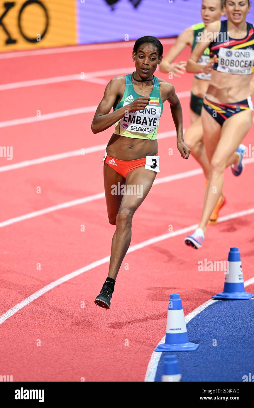 Axumawit Embaye participating in the Belgrade 2022 World Indoor Championships in the 1500 meters. Stock Photo