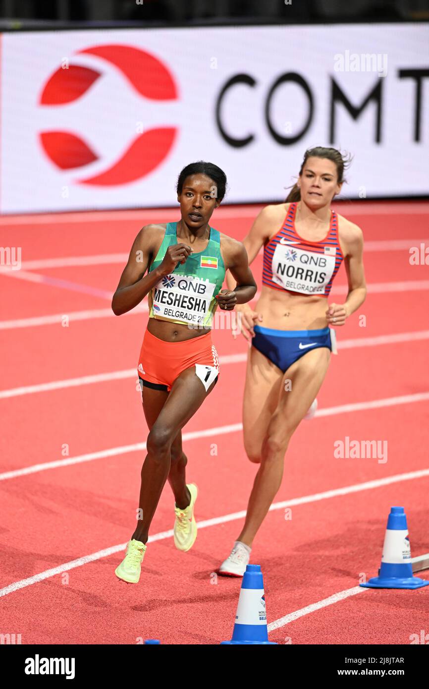 Axumawit Embaye participating in the Belgrade 2022 World Indoor Championships in the 1500 meters. Stock Photo