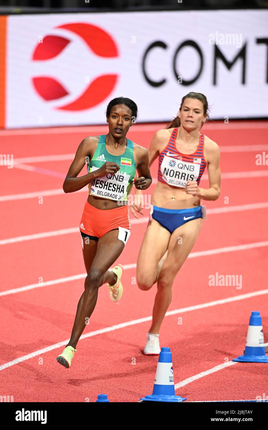 Axumawit Embaye participating in the Belgrade 2022 World Indoor Championships in the 1500 meters. Stock Photo