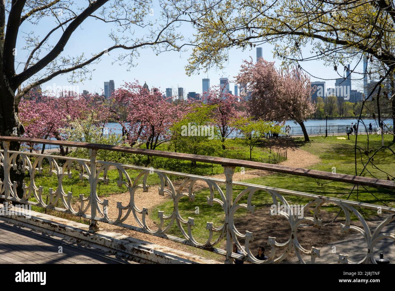 Central Park is a beautiful oasis in springtime, New York City, USA