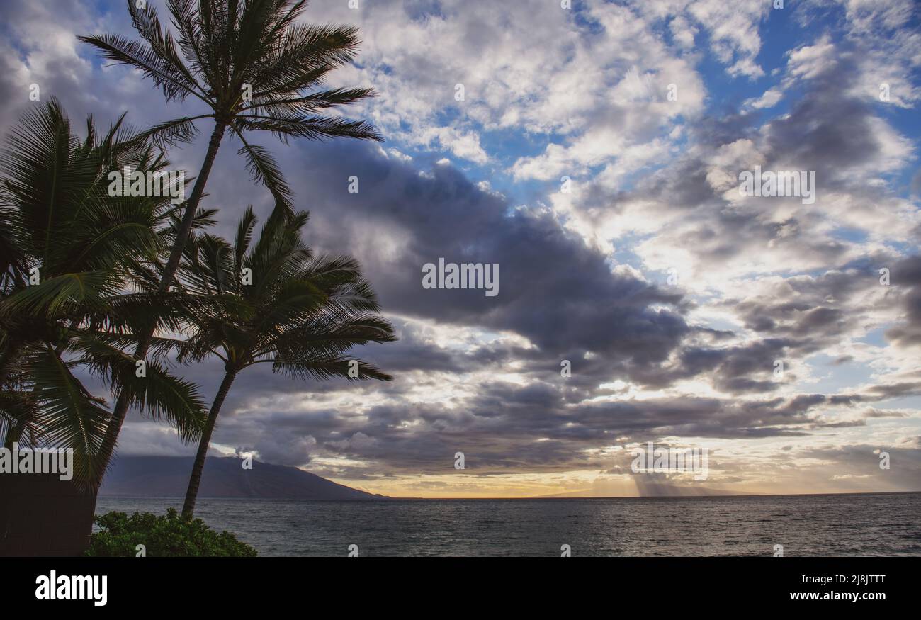 Beach on the Island of Maui, Aloha Hawaii Stock Photo Alamy