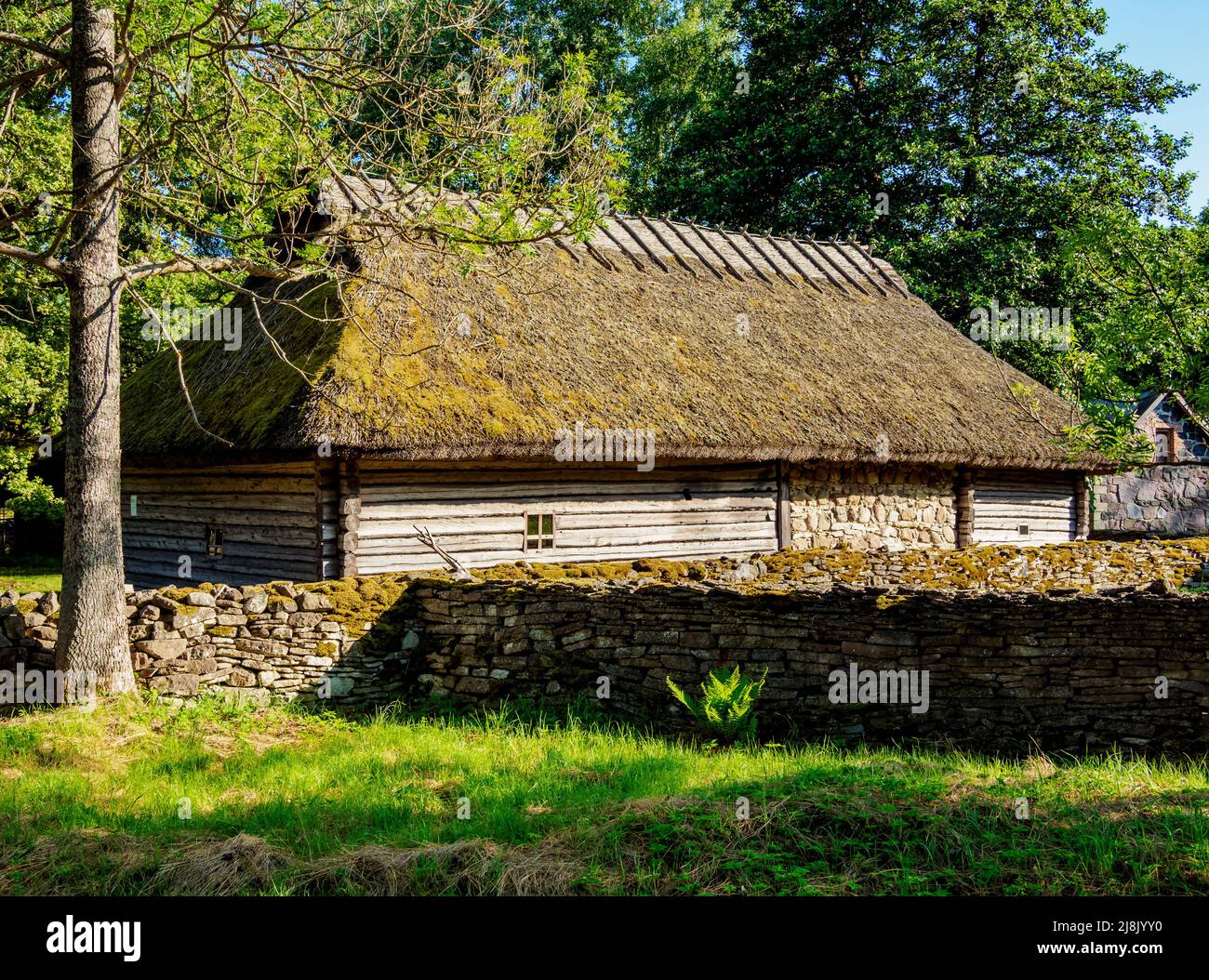 Traditional House, Estonian Open Air Museum, Rocca al Mare, Tallinn, Estonia Stock Photo