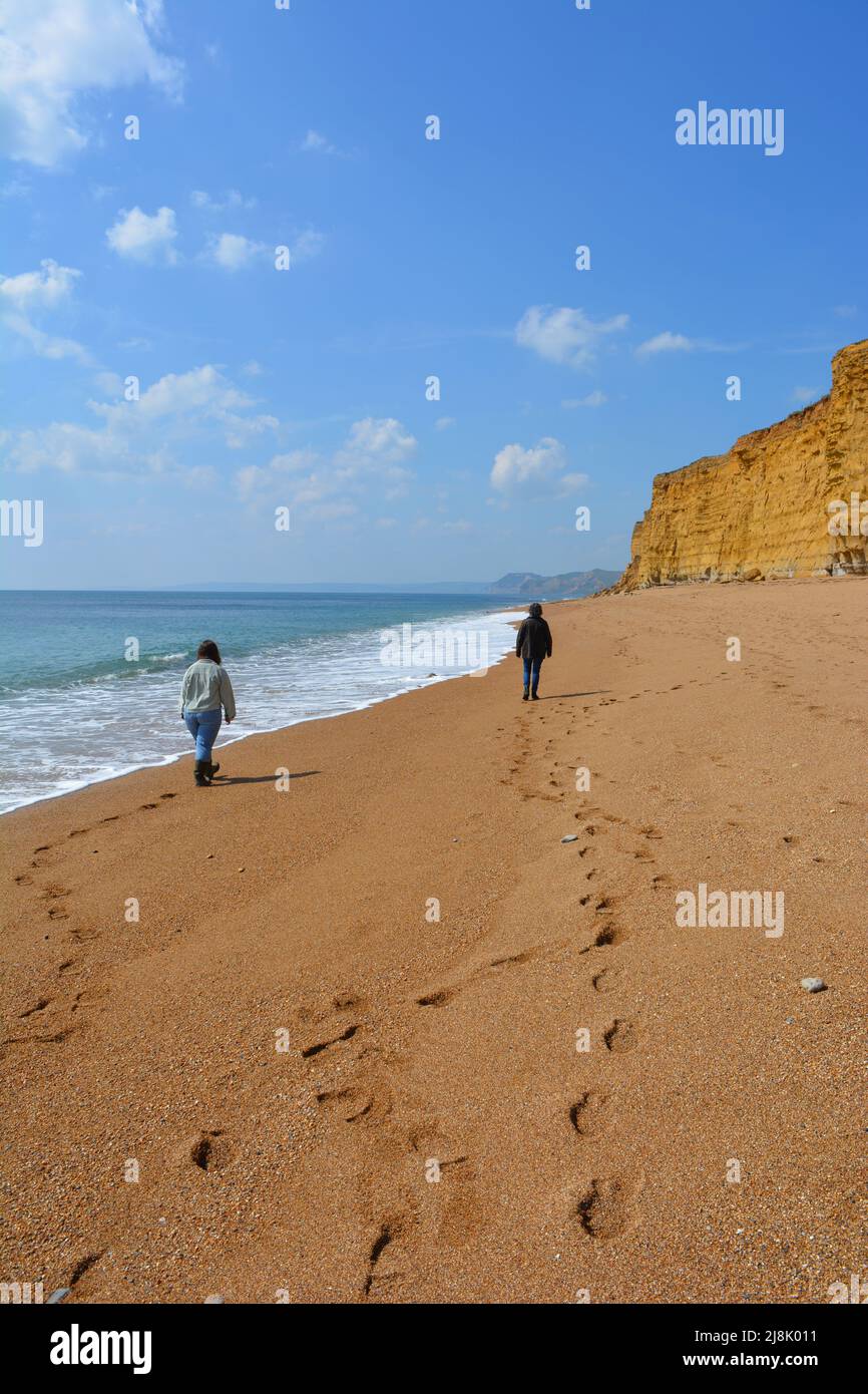 Two women from behind walking on the seashore beneath cliffs on Hive Beach, Dorset, England Stock Photo