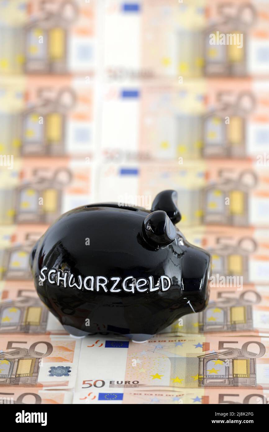 piggy bank lettering Schwarzgeld, illegal earnings, on 50 Euro coins Stock Photo