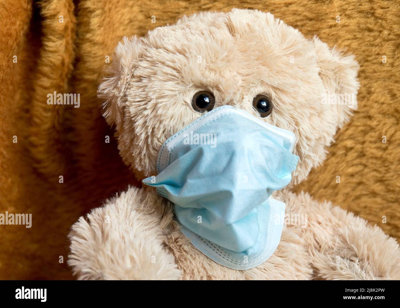 Teddy with face mask Stock Photo