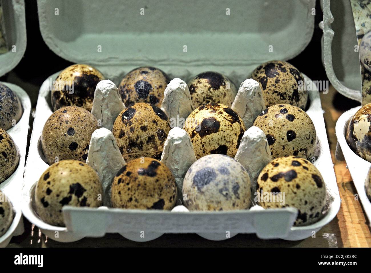 common quail (Coturnix coturnix), fresh quail's eggs for sale Stock Photo