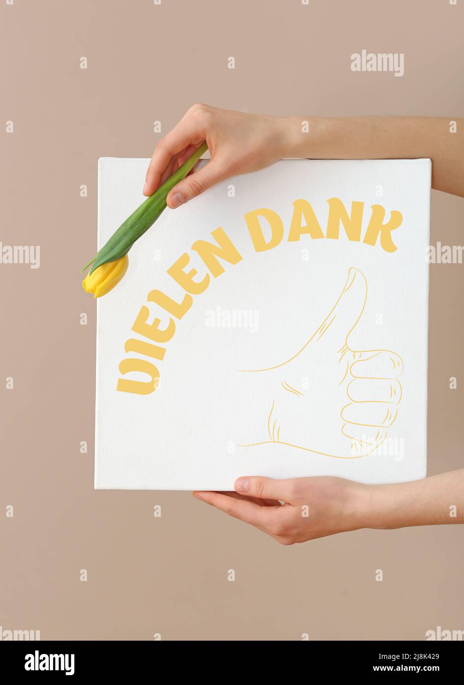 Female hands holding flower and card with text VIELEN DANK (German for Many Thanks) on color background Stock Photo