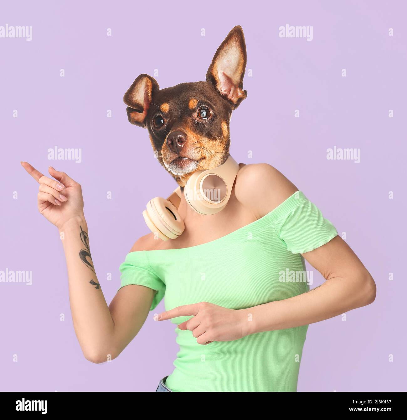 Funny dancing dog with human body on lilac background Stock Photo - Alamy