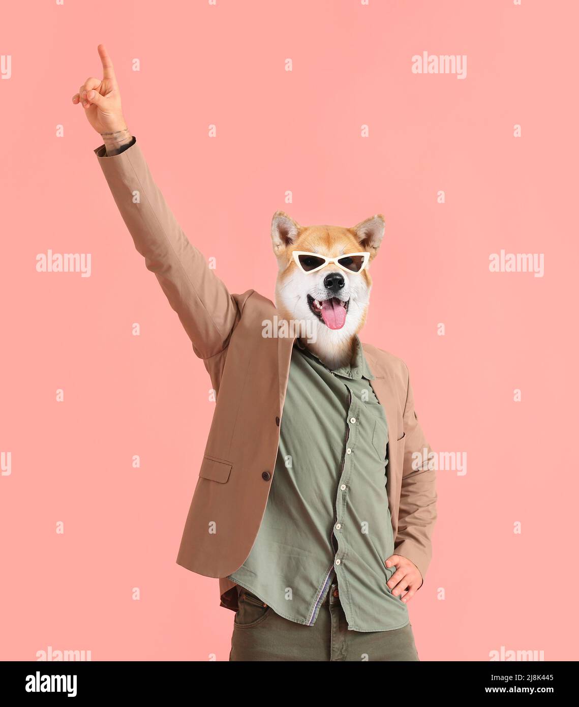 Funny dancing dog with human body on pink background Stock Photo Alamy
