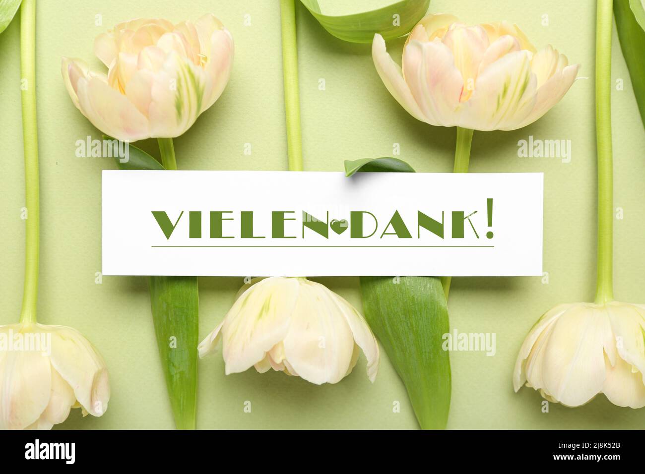 Card with text VIELEN DANK (German for Thanks a lot) and flowers on color background Stock Photo