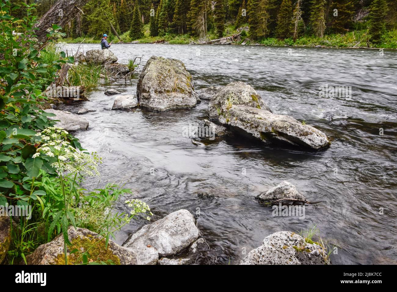 Henry's fork fishing hires stock photography and images Alamy