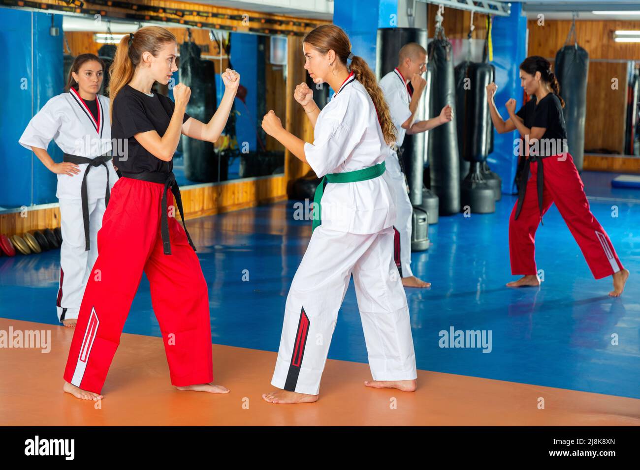Women and man on karate training Stock Photo Alamy