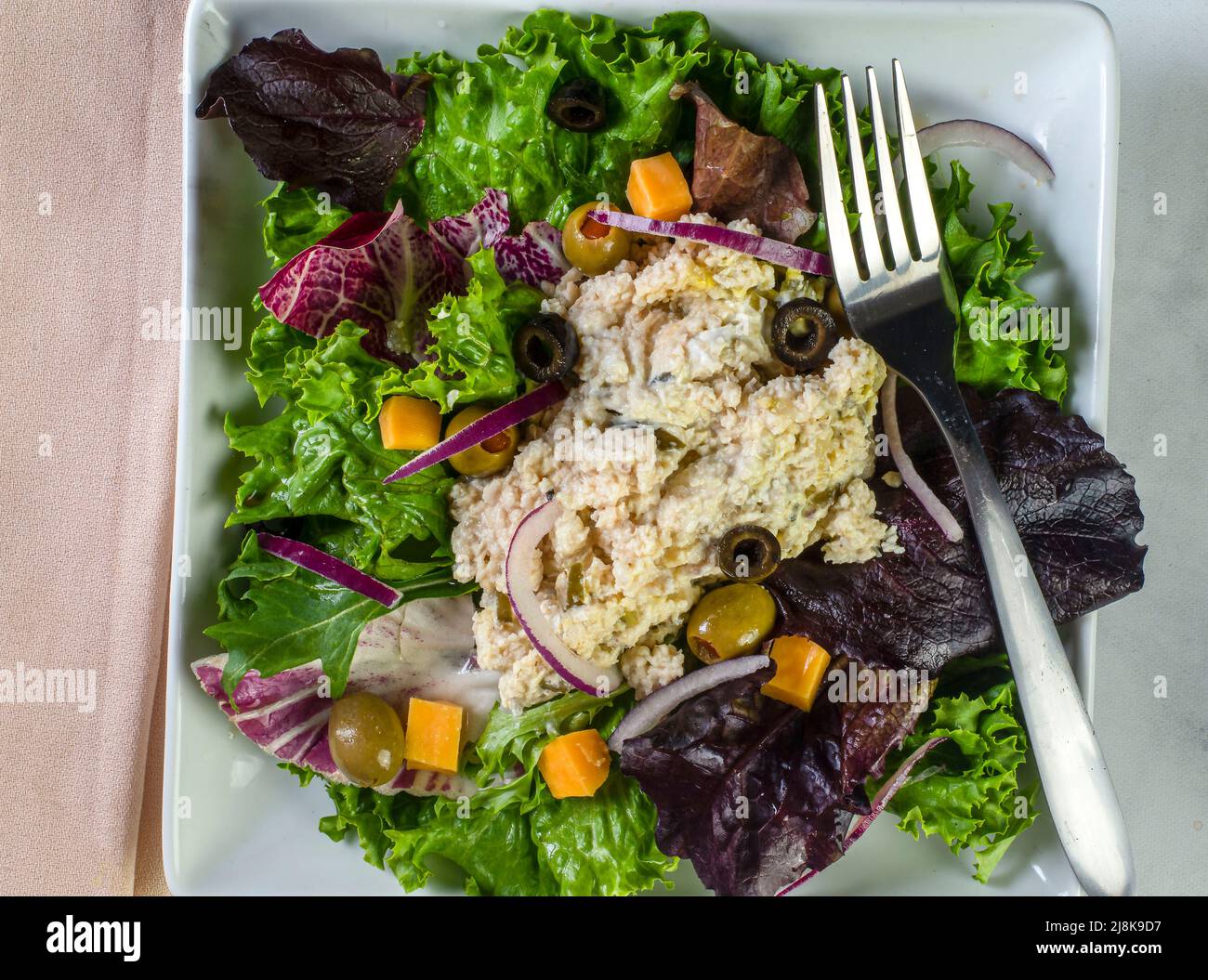https://c8.alamy.com/comp/2J8K9D7/salad-plate-with-ham-salad-on-top-and-mixed-greens-2J8K9D7.jpg