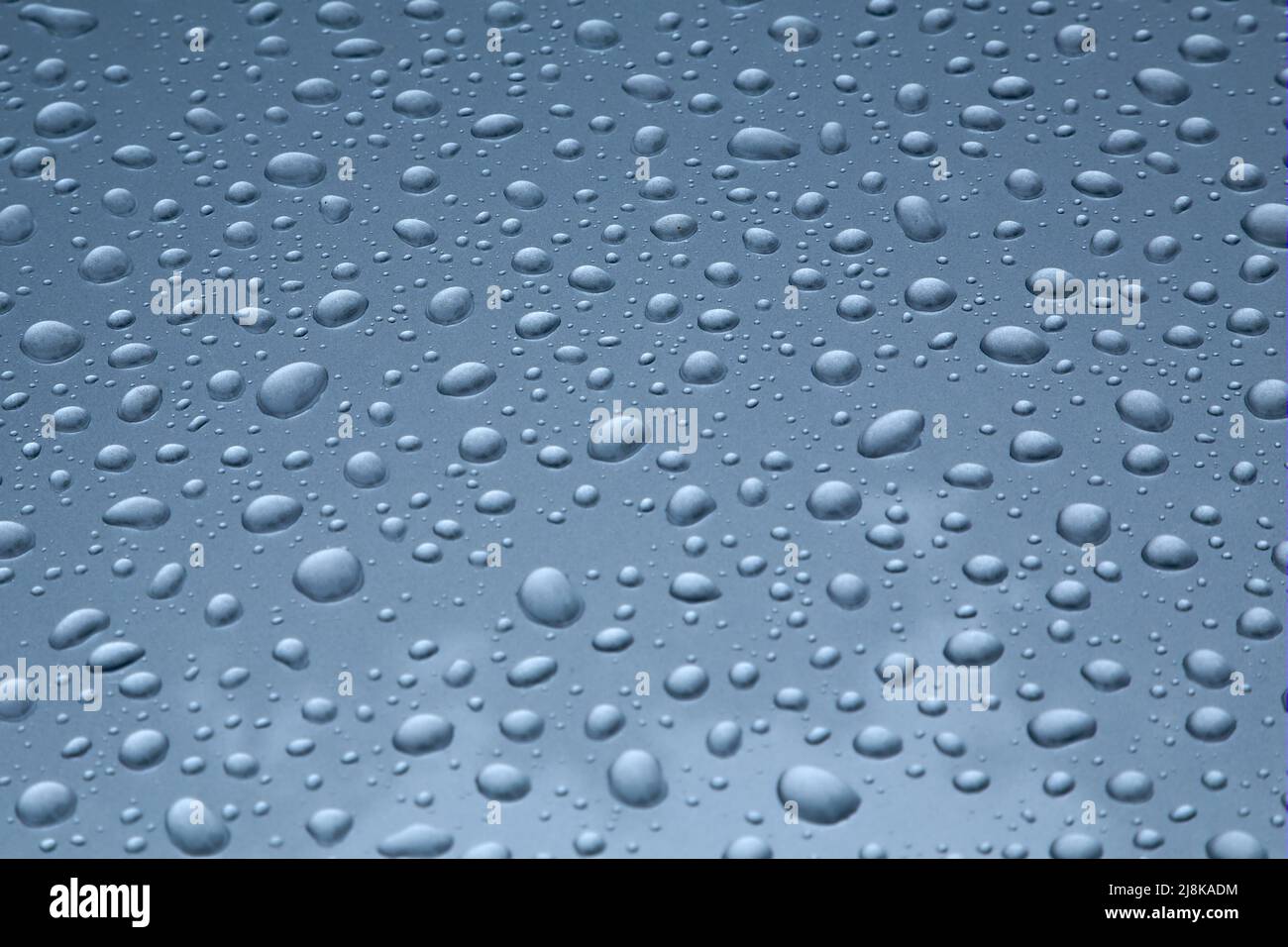 Shiny Water Droplets Stock Photo