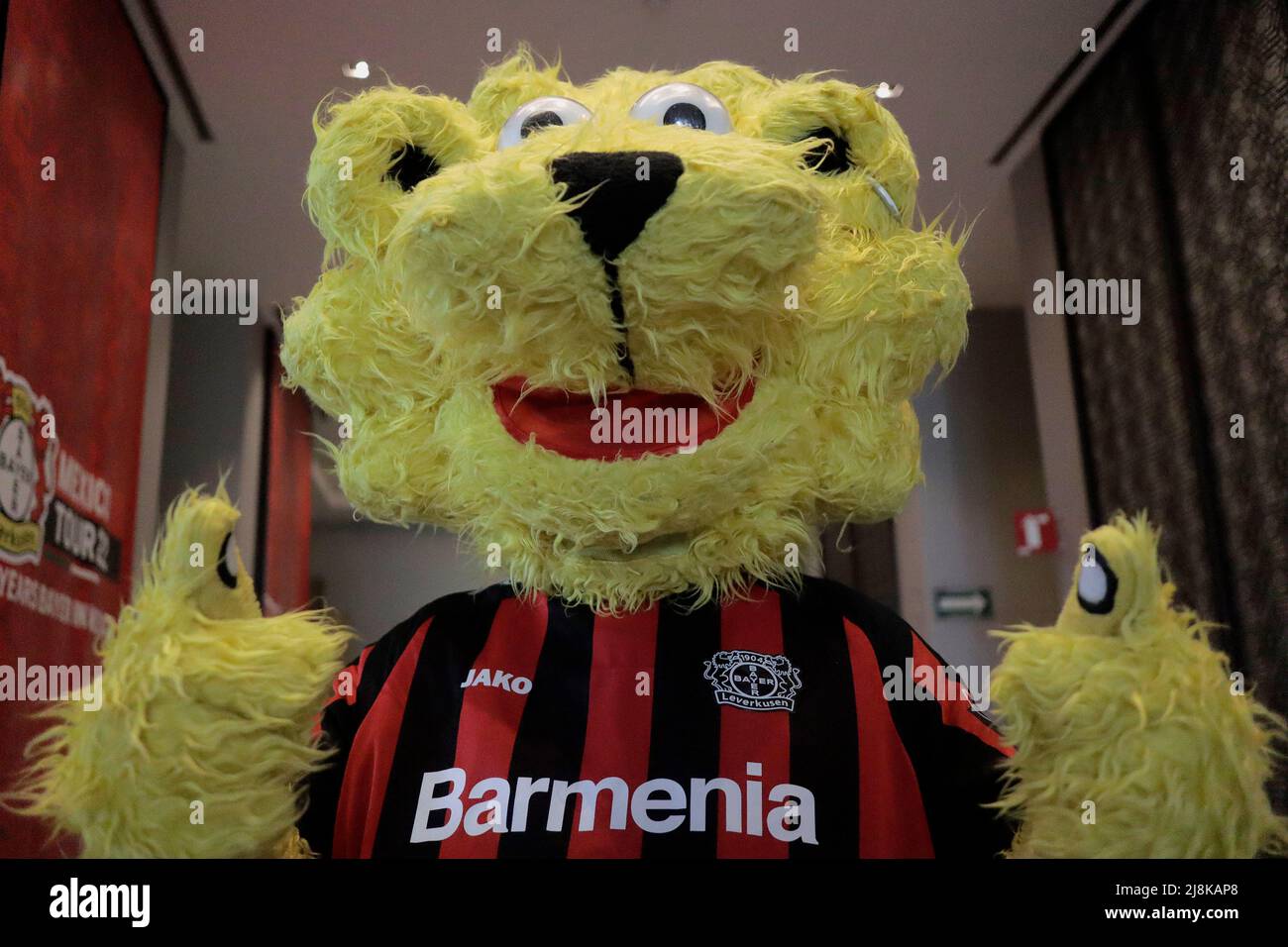 Mexico City, Mexico City, Mexico. 16th May, 2022. Mascot Brian of Bayer Leverkusen during Bayer Leverkusen V. Club Toluca F.C football match press conference as part of the occasion of the celebrations of the 100 years of Bayer pharmaceuticals in Mexico at St Regis Hotel. On May 16, 2022 in Mexico City, Mexico. (Credit Image: © Gerardo Vieyra/eyepix via ZUMA Press Wire) Stock Photo