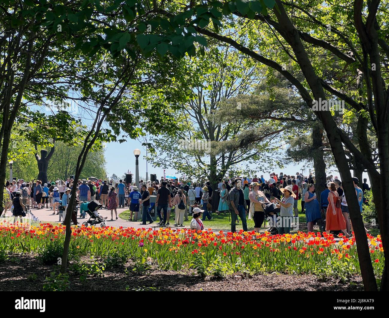 Ottawa, Ontario, Canada - May 14, 2022: Crowds of people enjoy the Ottawa Tulip Festival, an annual event in the nation's capital. Stock Photo